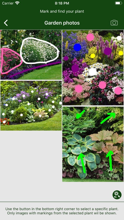 Hortus - Plants in your garden screenshot-4