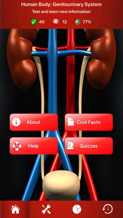 Genitourinary System Trivia