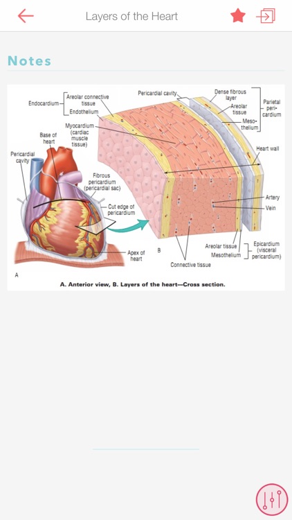 ECG Notes: Quick look-up ref. screenshot-3