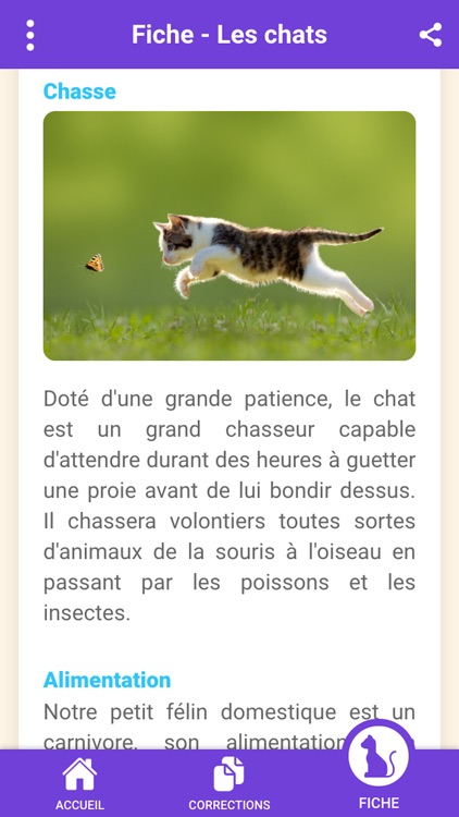 Speez - Les chats screenshot-4