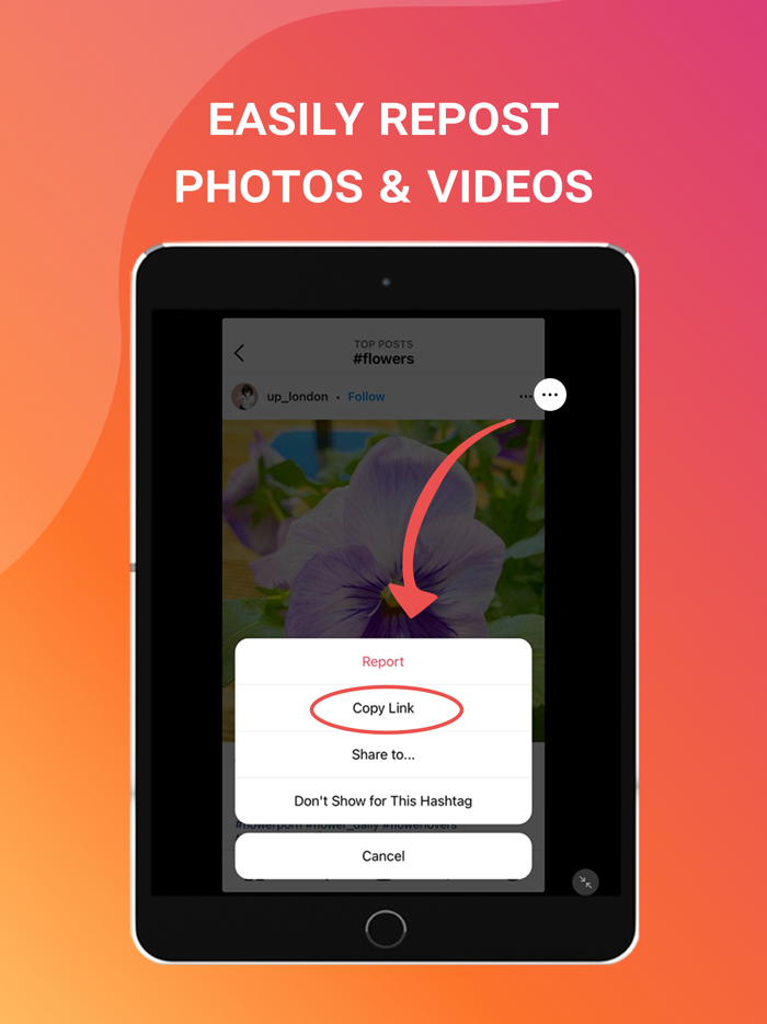 IGSave Instagram Repost