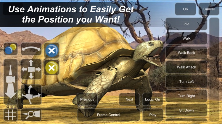 Tortoise Mannequin