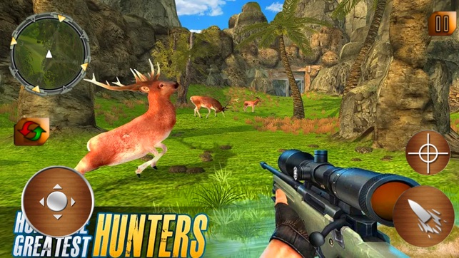 Real Animal Hunting Game