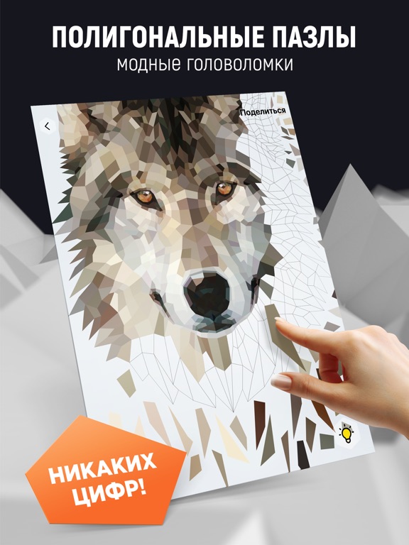 Poly Art - Арт-пазлы для игры на iPad