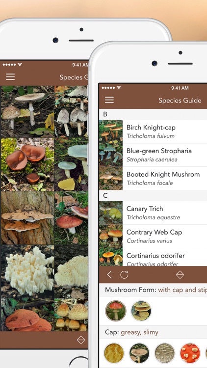 Mushrooms PRO - Hunting Safe