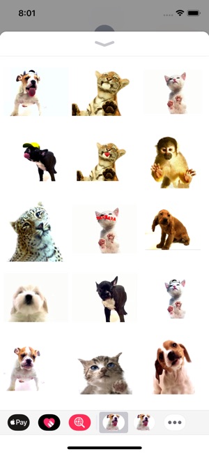 Slurp stickers for pet lovers(圖4)-速報App