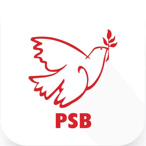 PSB 40 Download