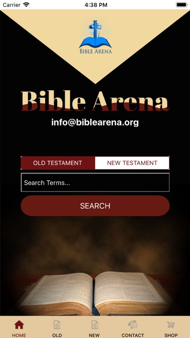 Bible Arena screenshot 2