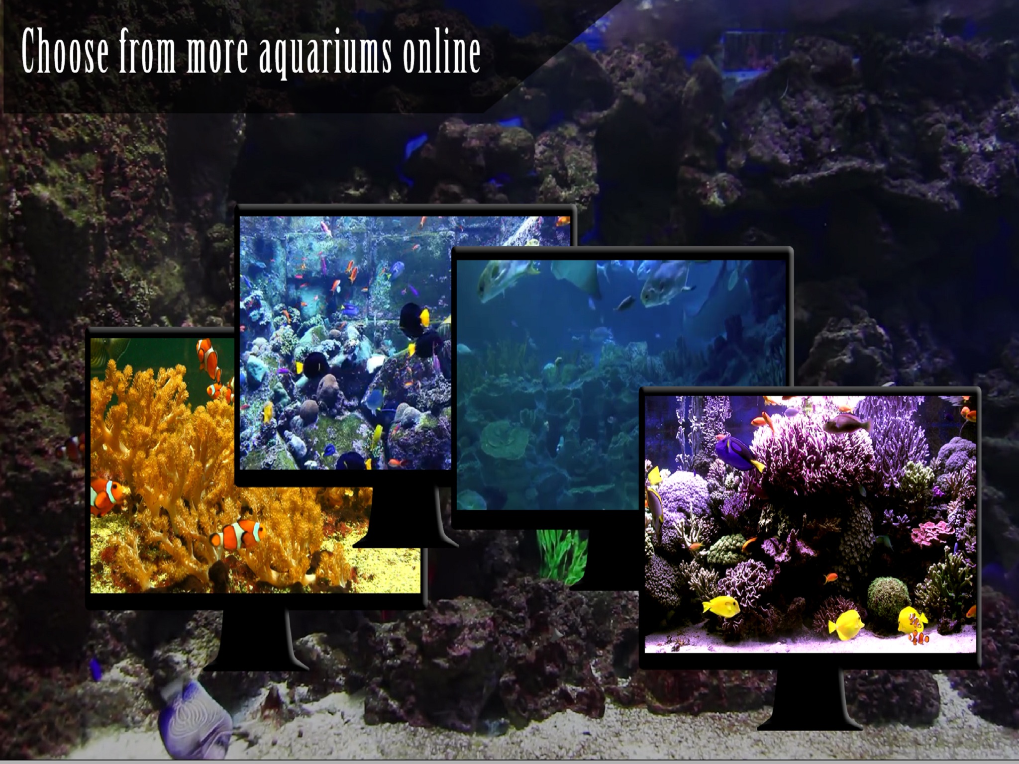 Peaceful Aquarium HD screenshot 3