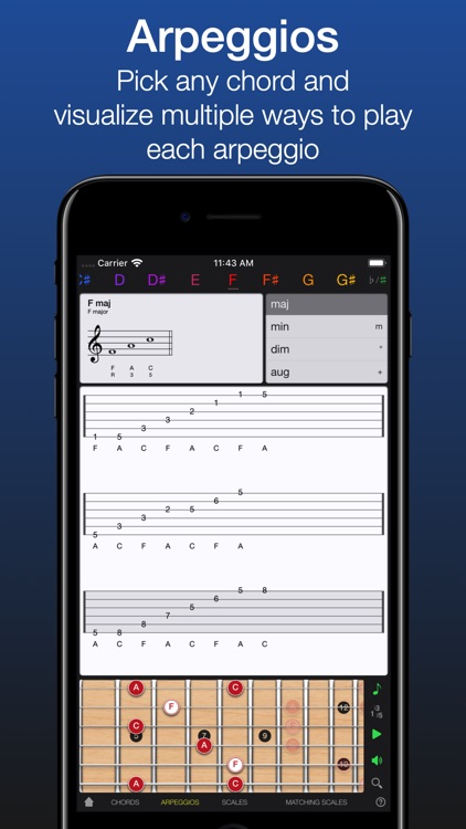 Guitar Gravitas: Chords Scales screenshot-4