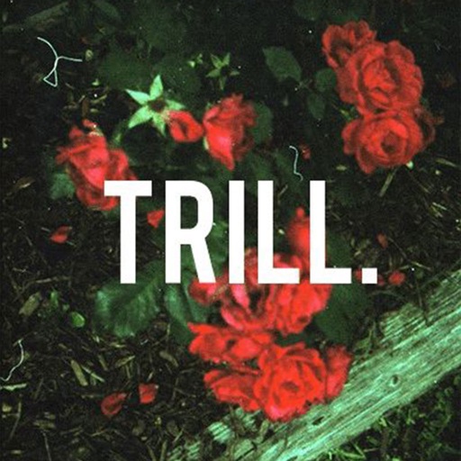 Trill Wallpaper HD