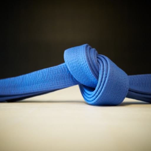 BJJ Blue 2.0 BJJ Blue 2.0