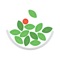 With the Simply Salad App, you can order ahead & skip the line, earn rewards, refer friends, and more