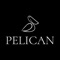 Pelican 51 это доставка суши, и морских деликатесов в Мурманске