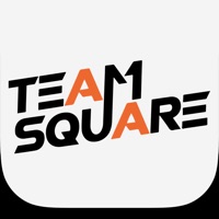 Team Square Loisirs