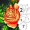 Art Number Coloring - Color by Number is one of the best paint by number coloring book with various categories of coloring pages