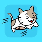 【Escape Game】Chase The Cat