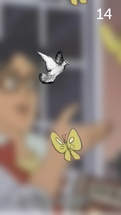 Is This A Pigeon?