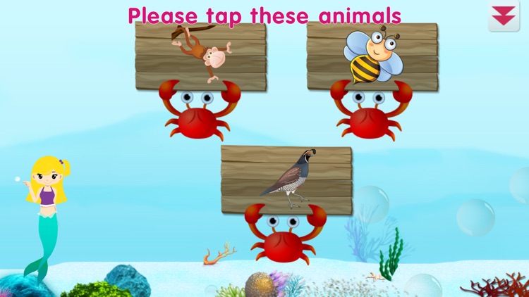 Mermaid Lessons screenshot-5