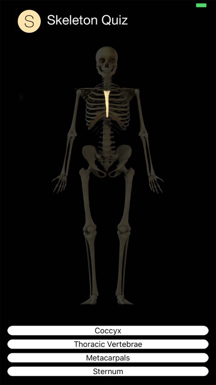 Skeleton Quiz screenshot-5