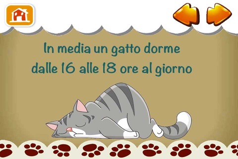 IoCreo Gattini 63703 screenshot 3