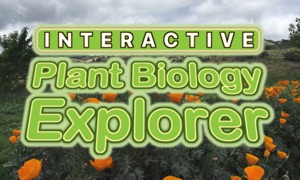 Plant Biology Explorer