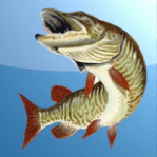 Musky Hunter LITE