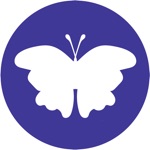 World of Butterflies