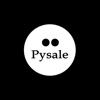 Pysale Conductor