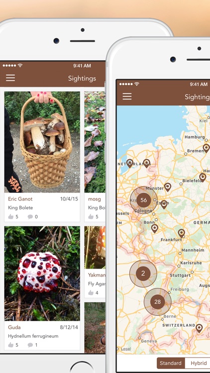 Mushroom LITE - Field Guide screenshot-4