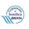 Applicazione completamente gratuita per fornire servizi e informazioni agli utenti del Consorzio Brenta che consente: