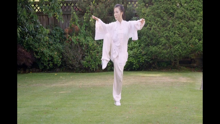 Tai Chi for Beginners 48 Form