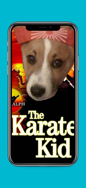 Karate Animals Gifs