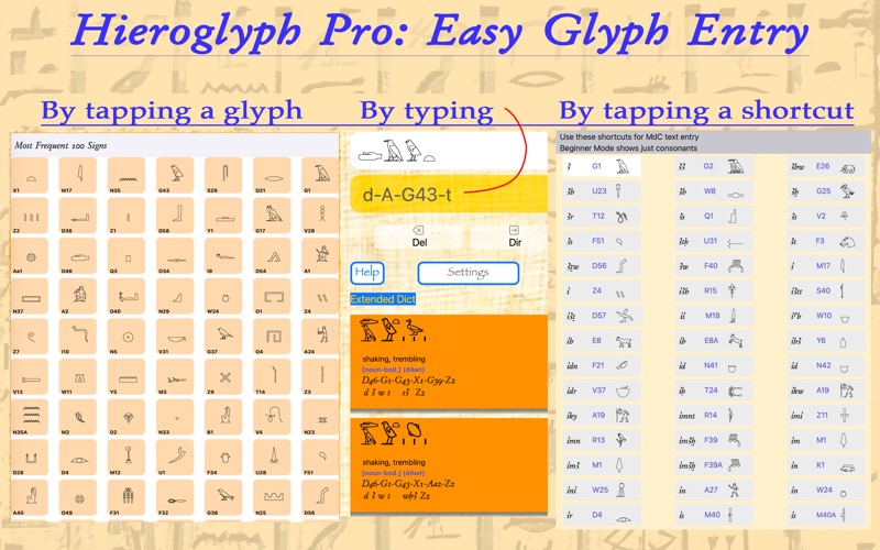 Hieroglyph Pro/Desk screenshot 2