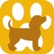 DOGstar DIE perfekte Hunde APP für alle DOGs und stars