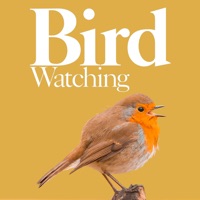  Bird Watching: Expert tips Alternatives