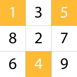 Sudoku Solution Finder