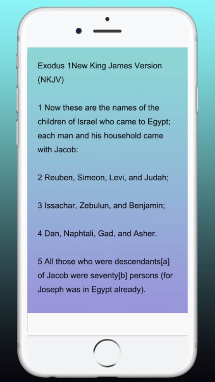 NKJV Audio Bible New KingJame screenshot-6