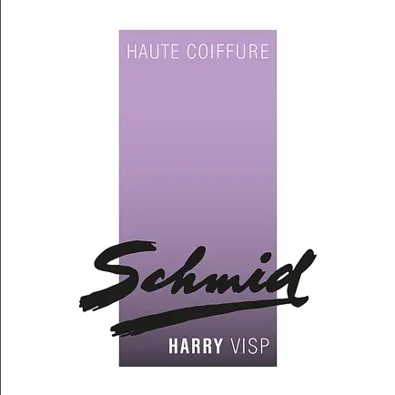 Haute Coiffure Harry Schmid Читы