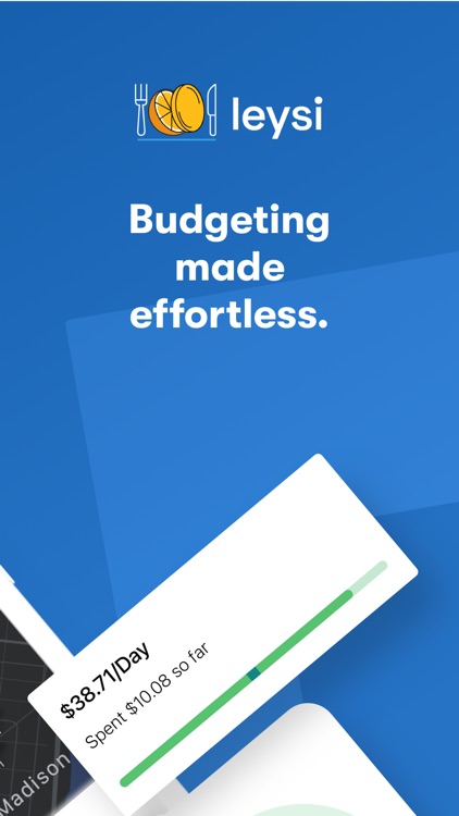 Leysi - Budgeting Made Easy