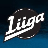 Liiga на пк