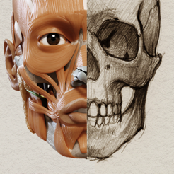 ‎Anatomie 3D pour l'Artiste 2