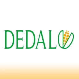 Dedalo App