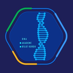 DNA Mobil