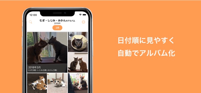 犬猫ペットの家族内アルバム 写真 動画 ぺっとる をapp Storeで