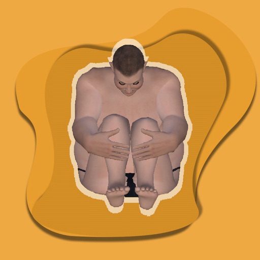 Sumo Collect Icon