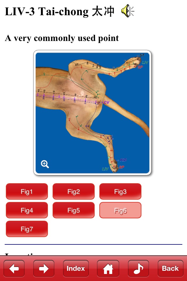 Canine Acupuncture Point screenshot 2