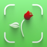 Plant  Flower Identifier