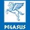 Download nu de Pegasus Den Bosch app om sneller een bestelling te plaatsen bij ons restaurant