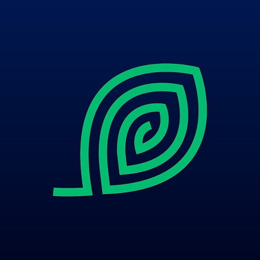 Momentum Ecology